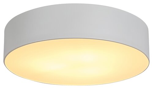 Renata (5083)