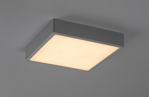 Lauri (71245)