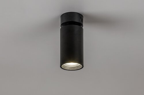 Yorli (73081)